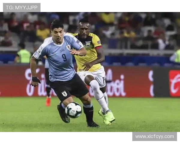 ✅体育直播🏆世界杯直播🏀NBA直播⚽- 浙江推十条举措支持革命老区乡村振兴- sports